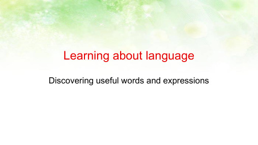 2016-2017年新人教版高中英语必修一Unit_2_English_around_the_world-learning_about_language课件