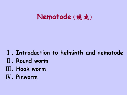 第二讲Nematode线虫