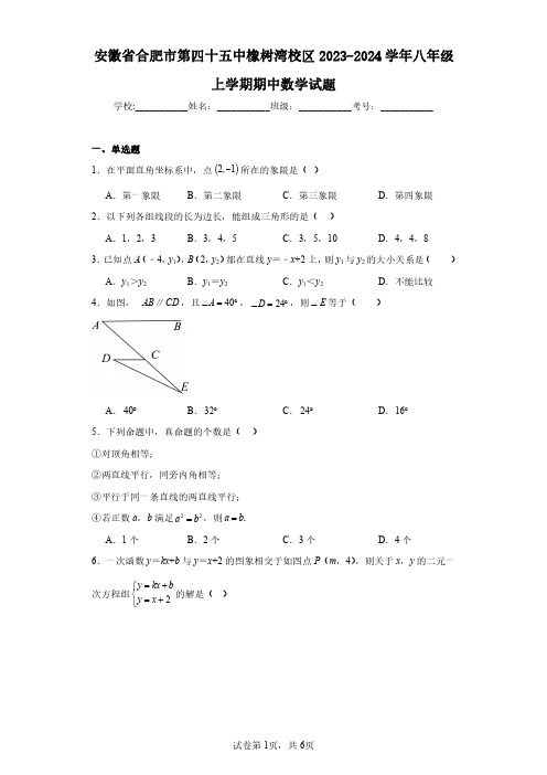 安徽省合肥市第四十五中橡树湾校区2023-2024学年八年级上学期期中数学试题(含答案解析)