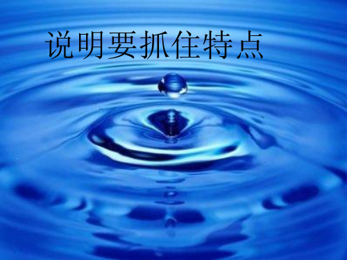 说明文《的自白》作文PPT课件