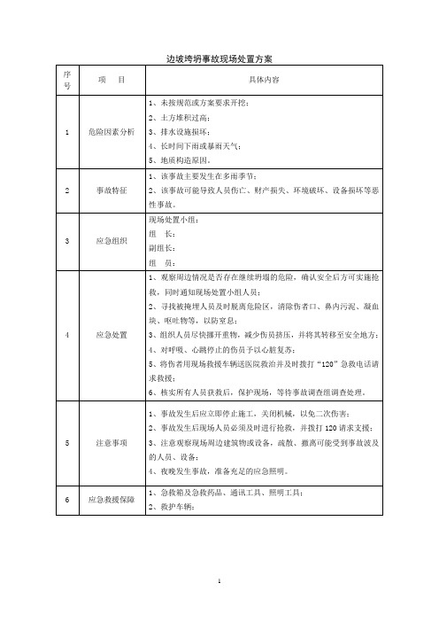 边坡垮塌现场应急处置方案