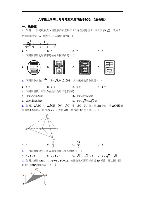 八年级上学期1月月考期末复习数学试卷 (解析版)