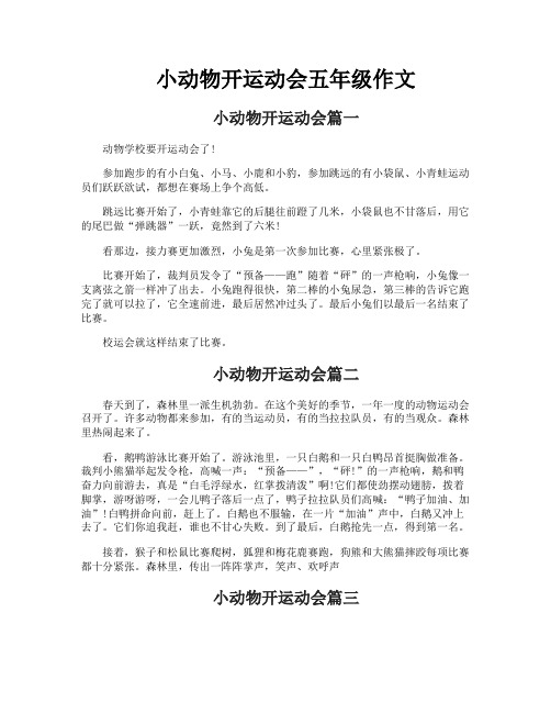 小动物开运动会五年级作文