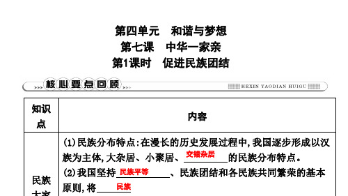 部编版九年级上册道德与法治习题课件：促进民族团结