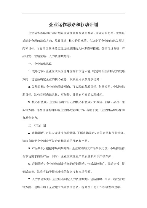 企业运作思路和行动计划