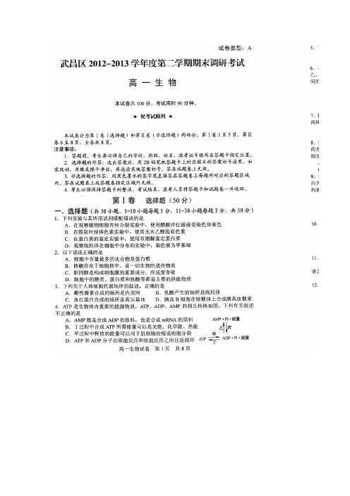 湖北省武昌区2012-2013学年高一下学期期末考试生物试题.