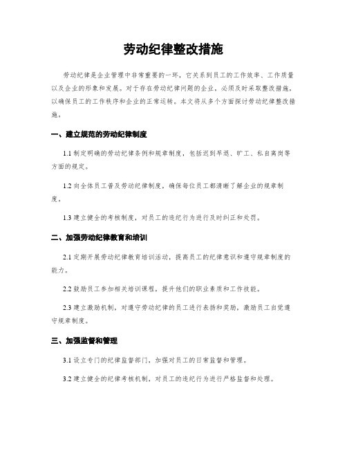 劳动纪律整改措施