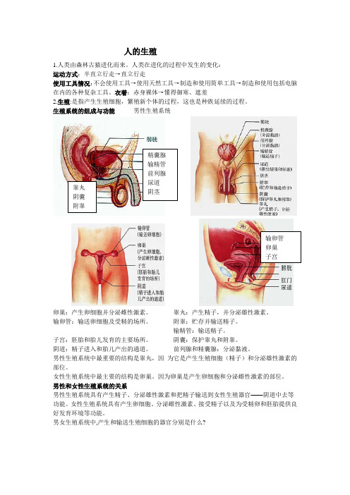 生殖及营养