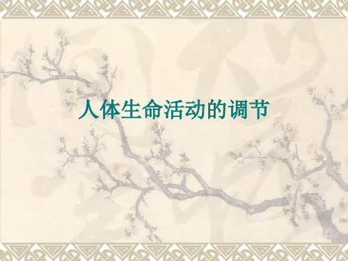 10课时 人体生命活动的调节