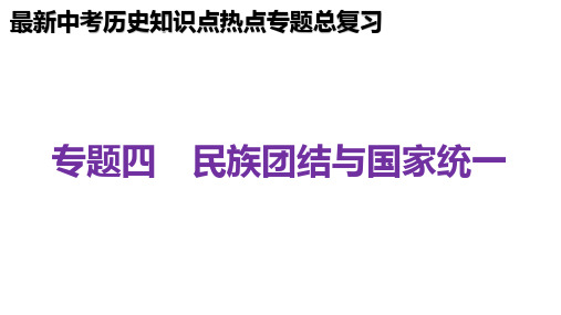 最新中考历史热点专题知识点突破复习要点-民族团结与国家统一