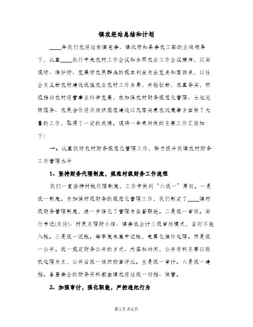 镇农经站总结和计划（2篇）