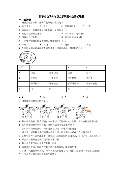 邯郸市生物八年级上学期期中生物试题题