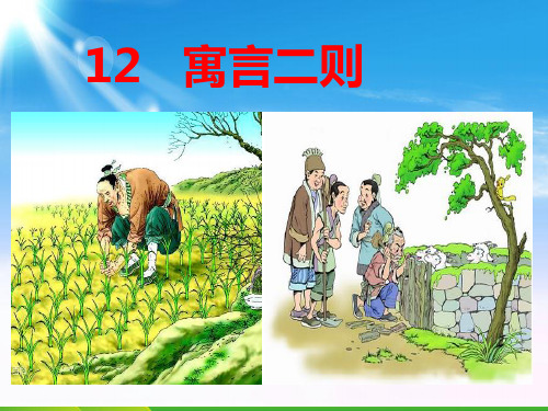 【新】人教部编版二年级下册语文课件-12.寓言二则 (共36张PPT).ppt