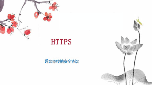 HTTPS 