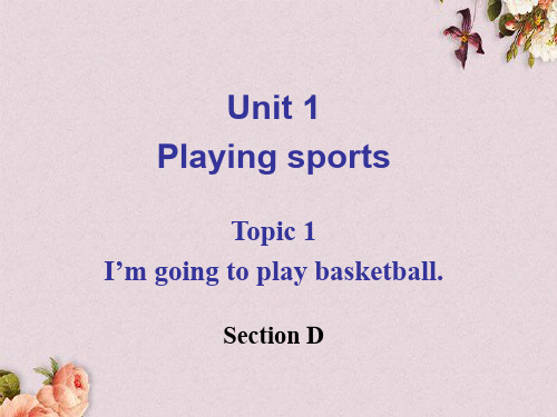 【优课】仁爱初中英语八上《Unit 1Topic 1 I'm going to play basketball.》PPT课件D (1)