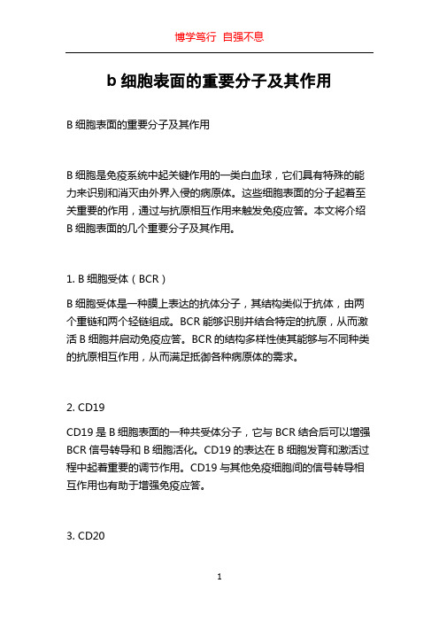 b细胞表面的重要分子及其作用