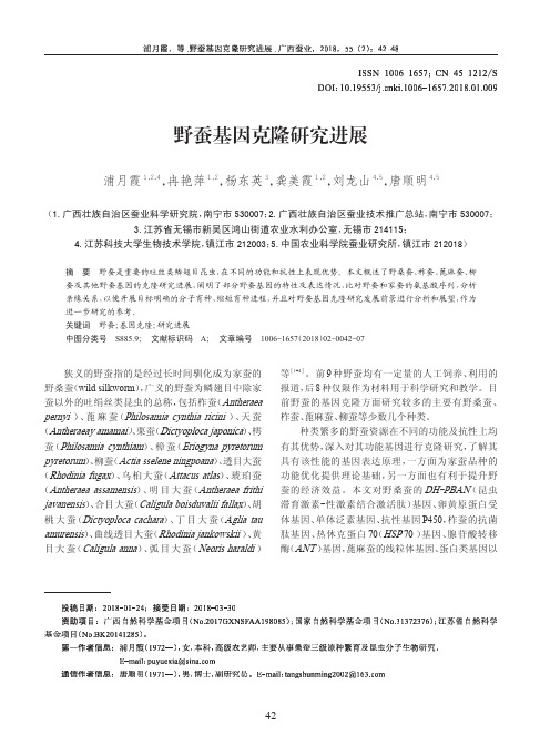 野蚕基因克隆研究进展