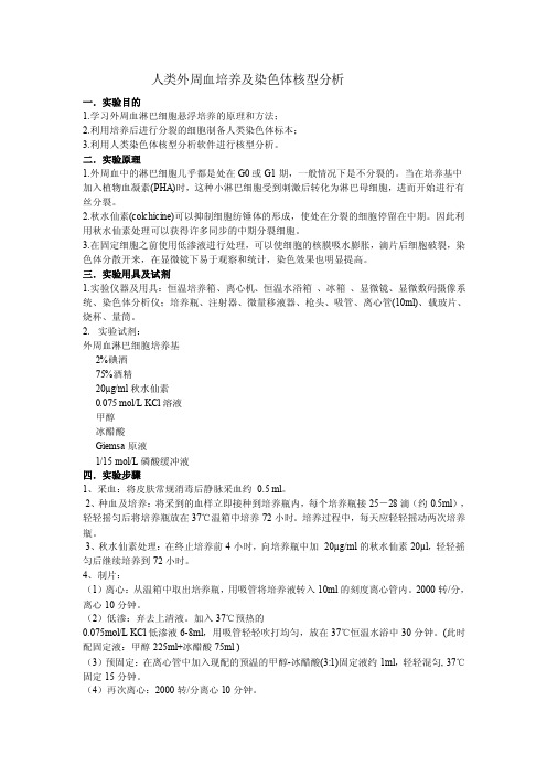 人类外周血培养及染色体核型分析