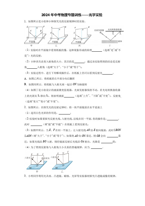 2024年中考物理专题训练——光学实验(解析版)