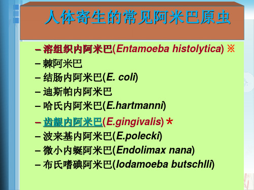 病原生物医学原虫阿米巴课件ppt