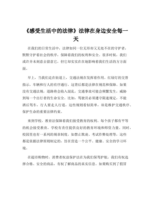 《感受生活中的法律》法律在身边安全每一天