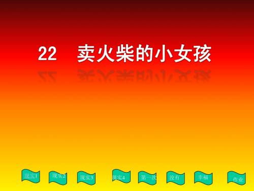 鲁教版小学语文五年级下册  22 卖火柴的小女孩 PPT课件