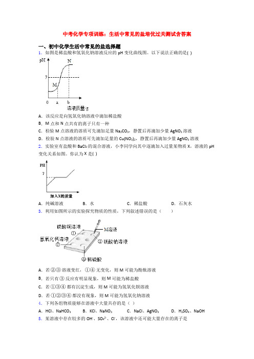 中考化学专项训练：生活中常见的盐培优过关测试含答案