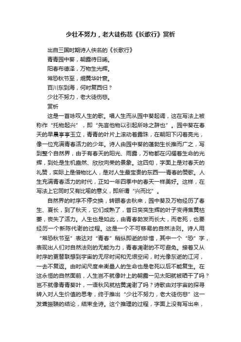 少壮不努力，老大徒伤悲《长歌行》赏析