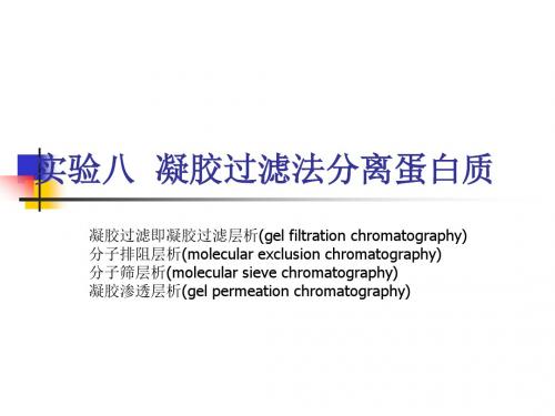 实验八凝胶过滤法分离蛋白质