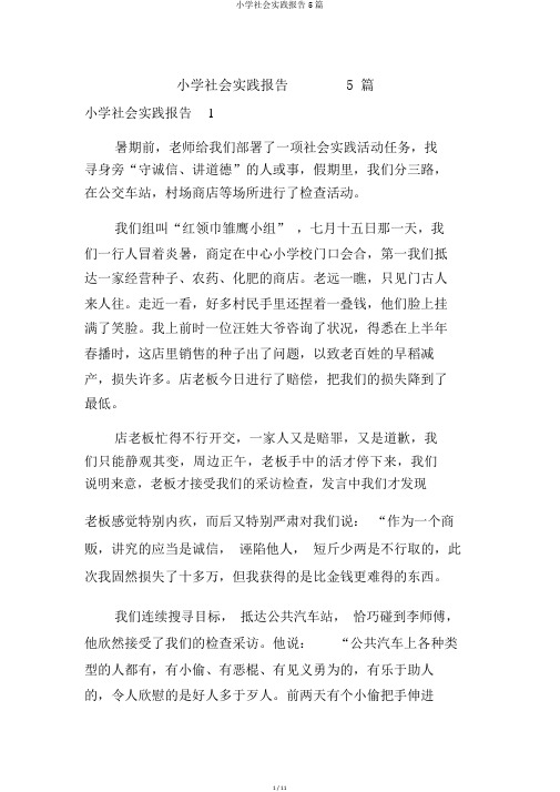 小学社会实践报告5篇