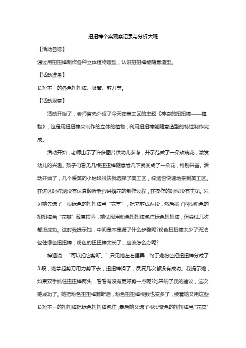 扭扭棒个案观察记录与分析大班