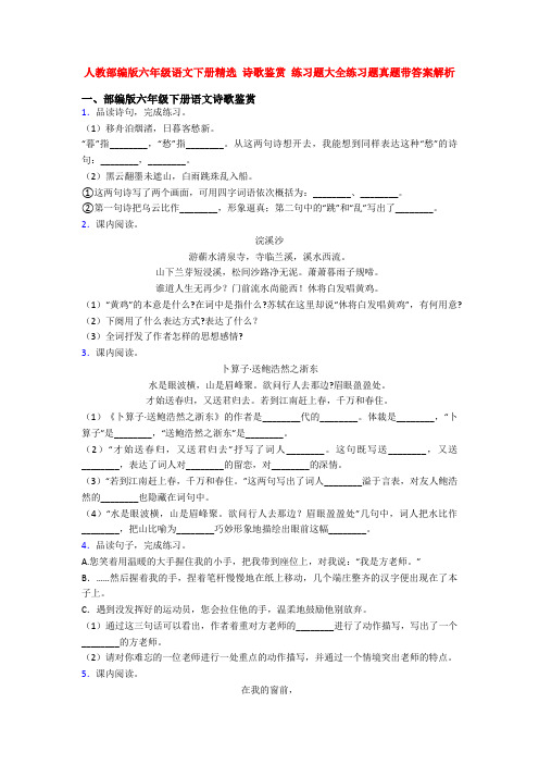 人教部编版六年级语文下册精选 诗歌鉴赏 练习题大全练习题真题带答案解析