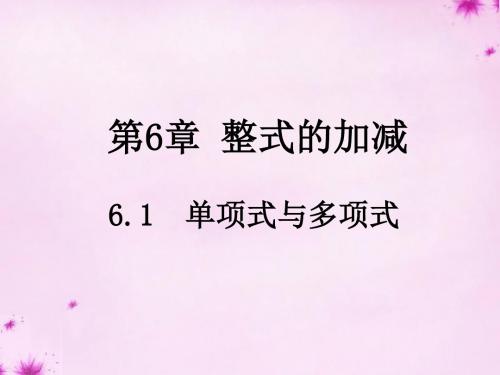 青岛初中数学七上《6.1单项式与多项式》PPT课件 (3)