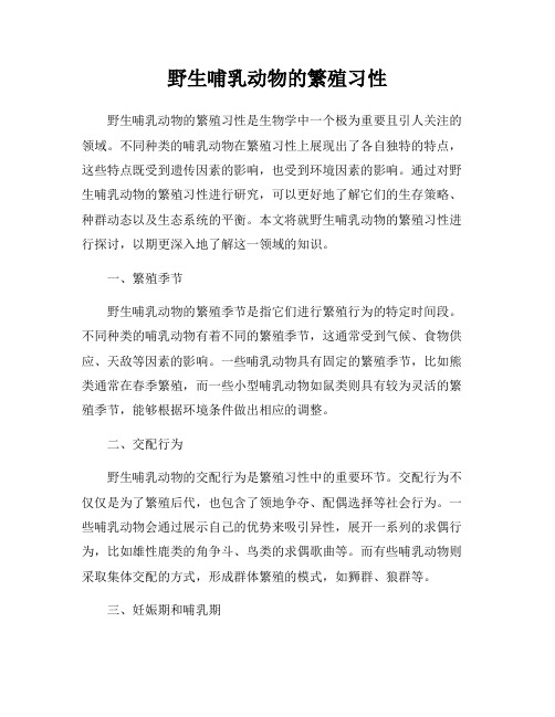 野生哺乳动物的繁殖习性