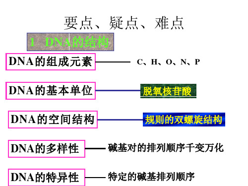 高二生物DNA分子的结构与复制(PPT)4-4