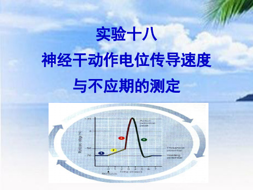 神经干动作电位传导速度与不应期的测定