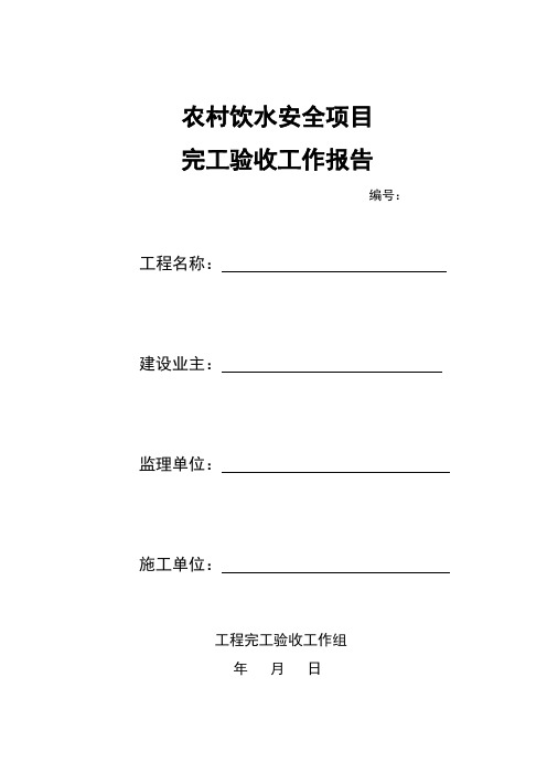 农村饮水安全工程完工验收 空白