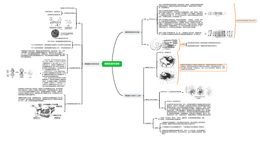 必修一生物：细胞的基本结构(思维导图)