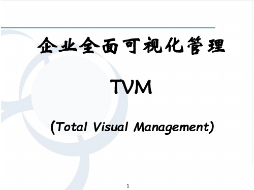 企业全面可视化管理(TVM)180