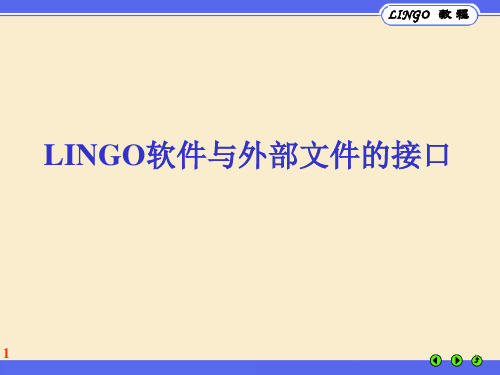 LINGO教程(数据输入输出)