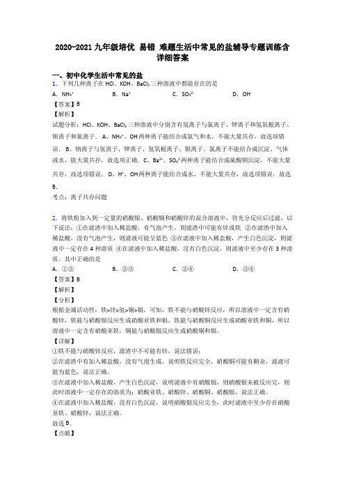 2020-2021九年级培优 易错 难题生活中常见的盐辅导专题训练含详细答案