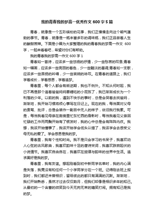 我的青春我的梦高一优秀作文600字5篇