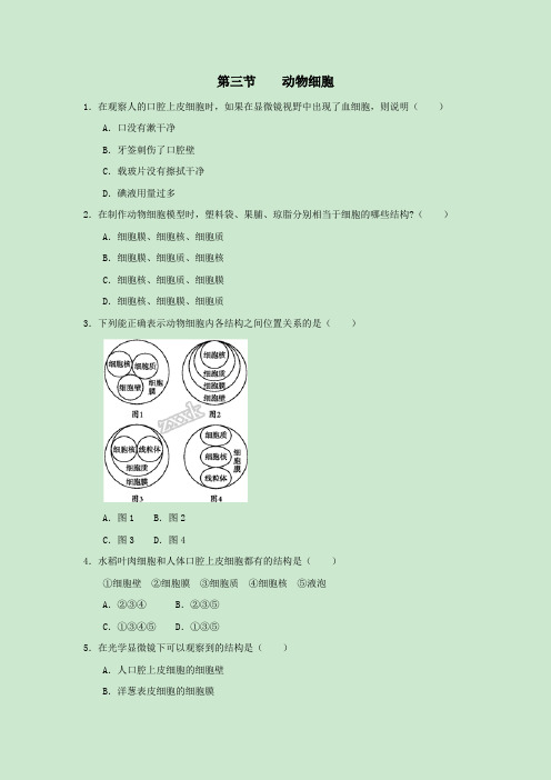 人教版七年级生物上册第三节  动物细胞课时同步练习含答案