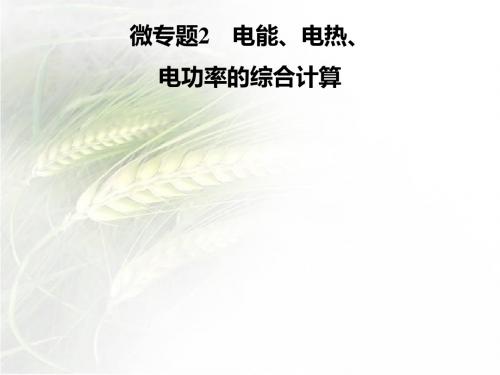 人教版九年级物理下册第十八章 微专题2 电能、电热、电功率的综合计算)