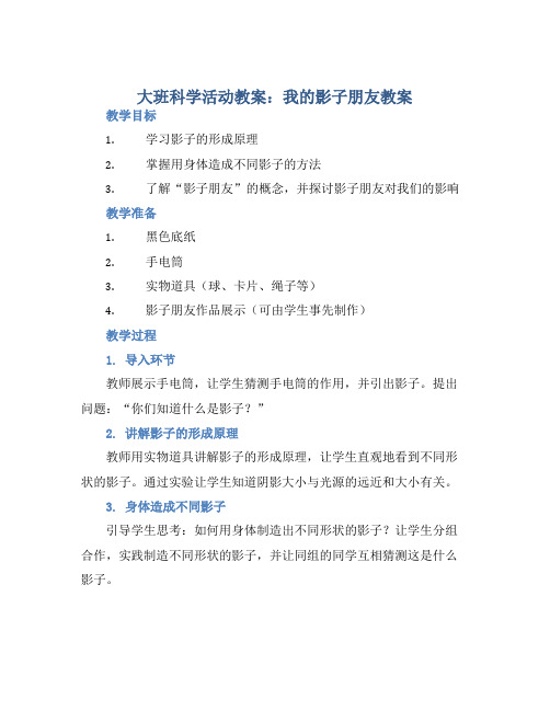 大班科学活动教案：我的影子朋友教案(附教学反思) (2)