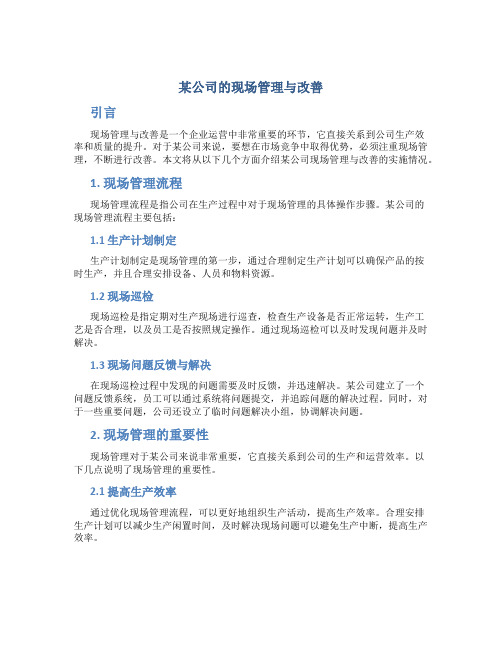 某公司的现场管理与改善页