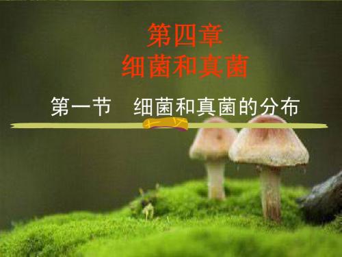 细菌和真菌的分布(人教版)