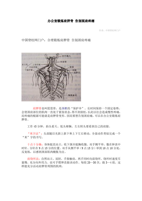 办公室锻炼肩胛骨 告别颈肩疼痛