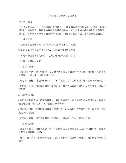 项目承包运营策划方案范文