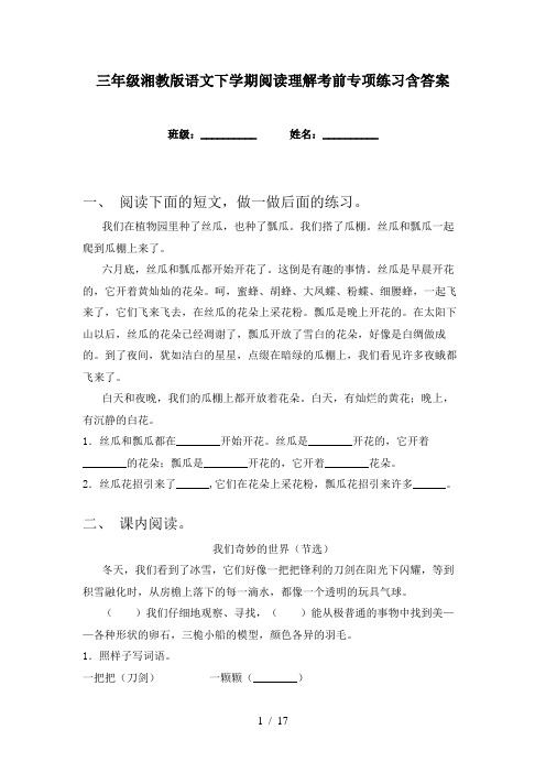 三年级湘教版语文下学期阅读理解考前专项练习含答案